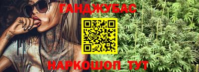 крисы Новокубанск