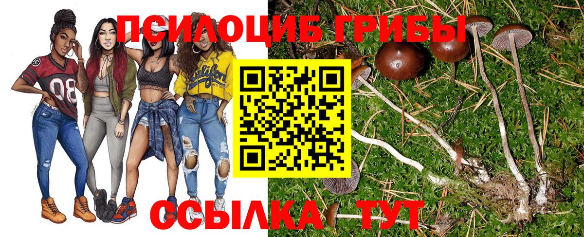 Галлюциногенные грибы ЛСД Рославль