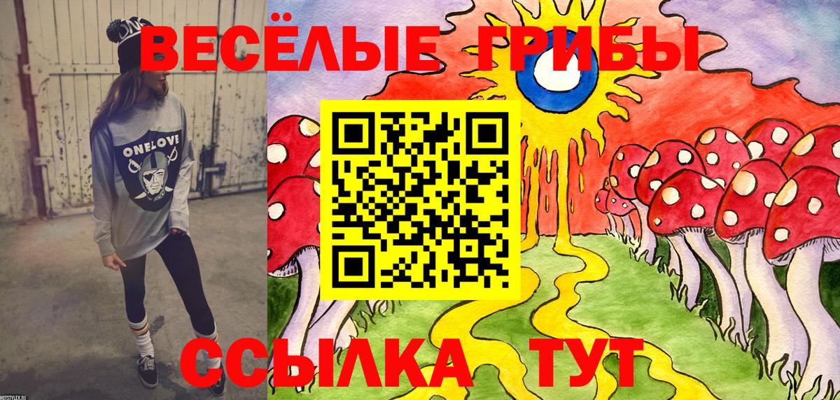 Псилоцибиновые грибы GOLDEN TEACHER  Вход с VPN  Рославль 